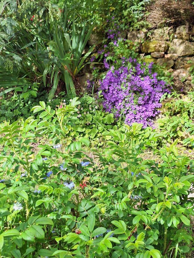 Chambre d’hôte pour 4 personnes, avec jardin ainsi que piscine et vue à Le Buisson-de-Cadouin - 2