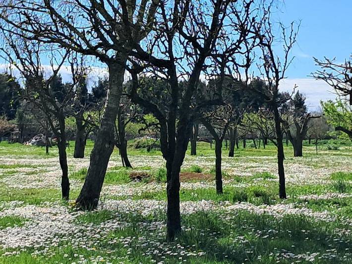 Ferienwohnung für 4 Personen, mit Garten und Ausblick in Punta Sabbioni
