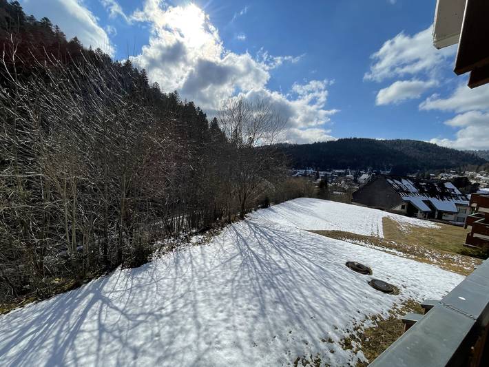 Ganze Wohnung, Ameisenpfad Todtmoos - Gemütlichkeit und Panorama - Mein Swh in Todtmoos - Vordertodtmoos, Todtmoos