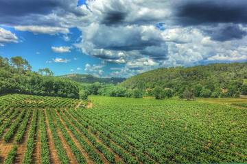 Location de vacances pour 7 personnes, avec piscine et jardin à Flassans-sur-Issole