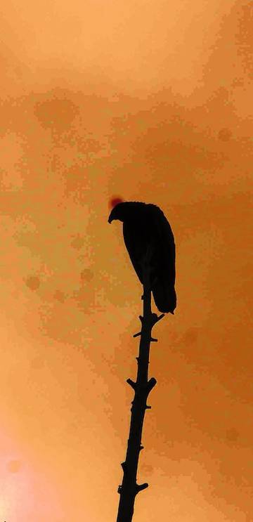 Vacation Apartment for 2 Guests in Northwest Colorado, Grand Mesa, Picture 2