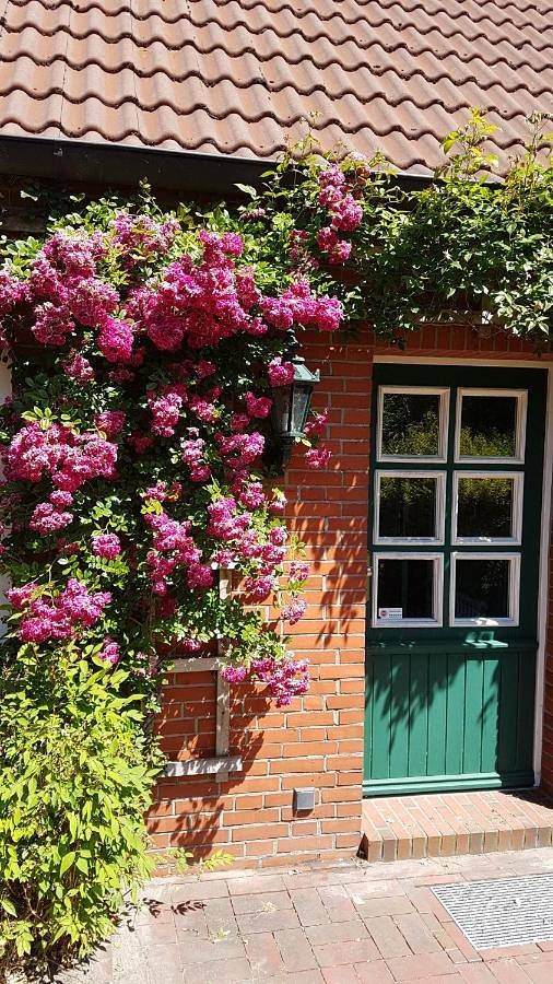 Ferienhaus für 4 Personen, mit Terrasse und Garten sowie Sauna und Ausblick in Halbemond