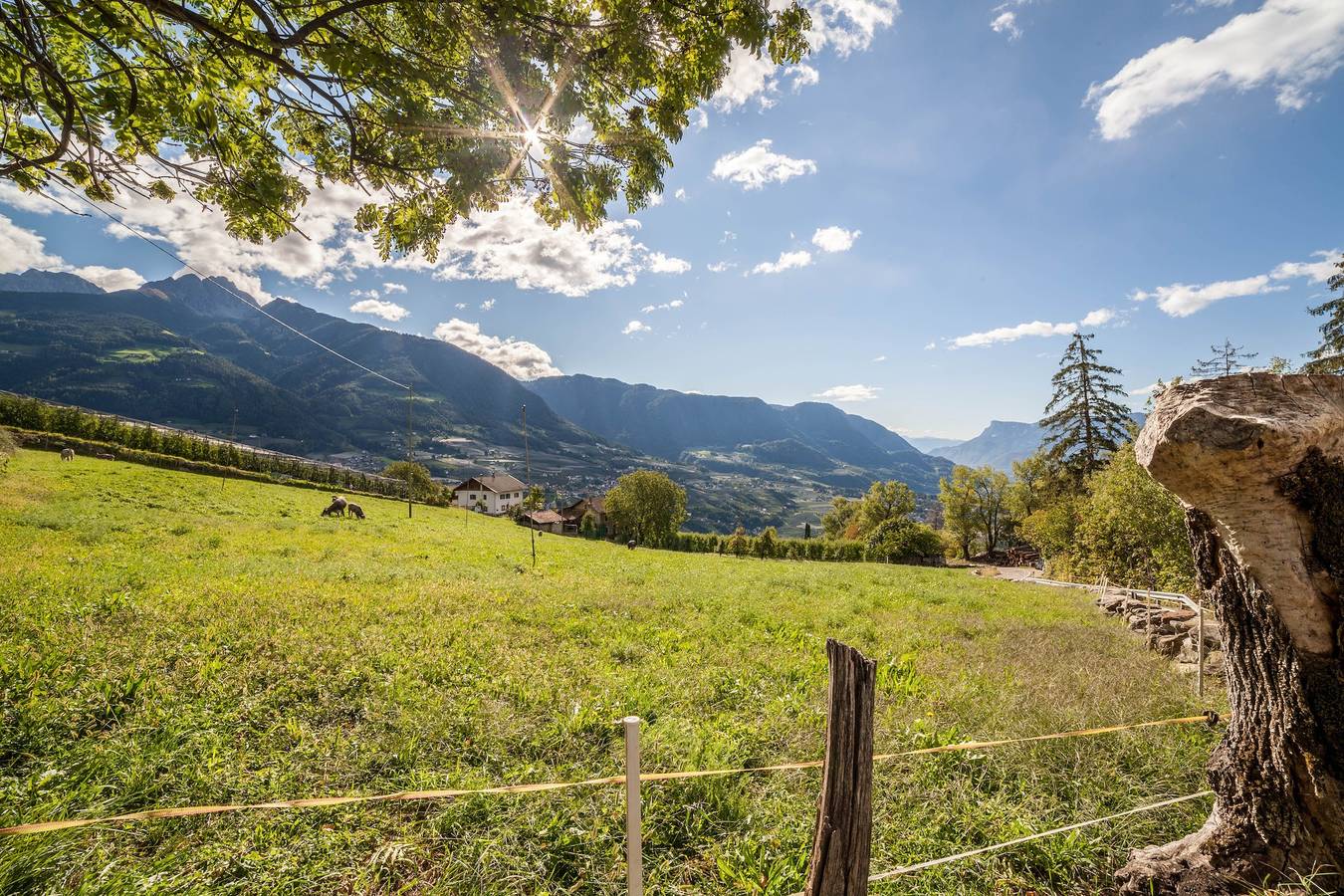 Plat Belvedere met Bergzicht, Gedeeld Zwembad & Wi-Fi, foto 6