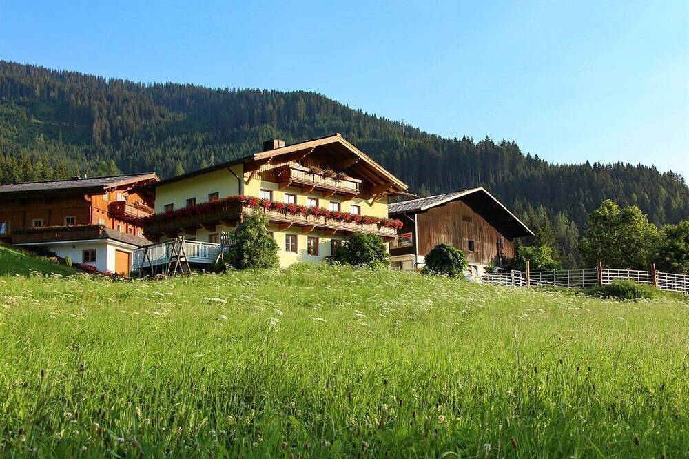 Apartment/2 Schlafräume/Dusche, Wc - Richlegghof in Filzmoos, Tennengau