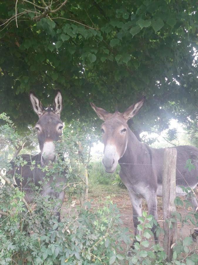 Camping pour 2 personnes, avec Jardin