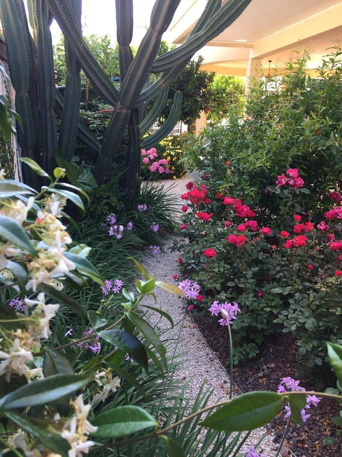 Gîte pour 4 personnes, avec jardin à Roseto degli Abruzzi - 2