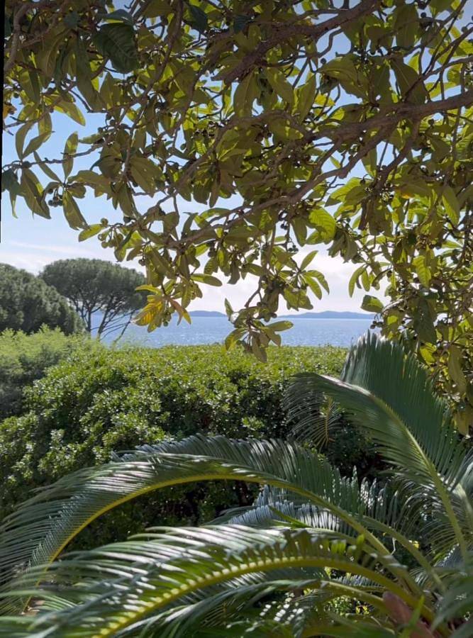Maison d’hôte pour 2 personnes, avec terrasse et vue à Rayol-Canadel-sur-Mer - 2