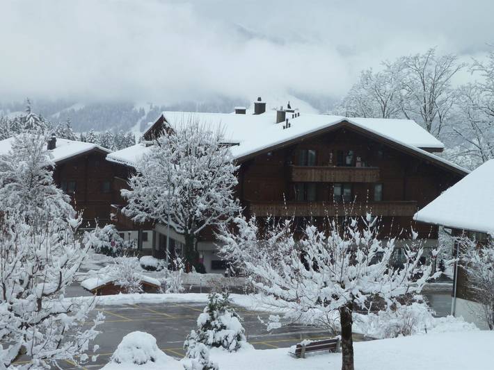 Entire apartment, Suzanne Nr. 18 in Saanenmöser, Saanen