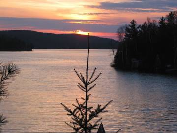 Cottage for 6 Guests in Algonquin Provincial Park, Picture 2