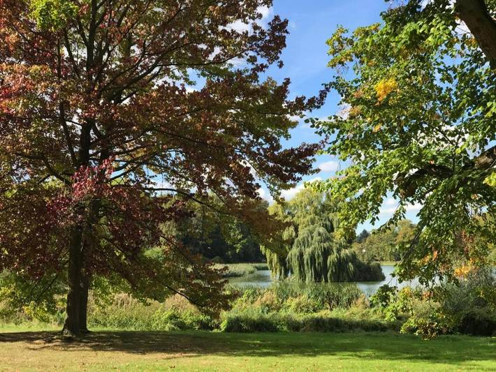 Location de vacances pour 3 personnes, avec terrasse à Tervuren - 4