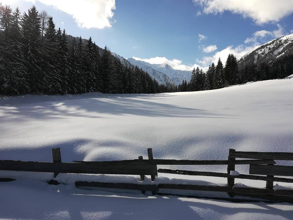 Ganze Ferienwohnung, Doppelzimmer in Kartitsch, Karnischer Hauptkamm