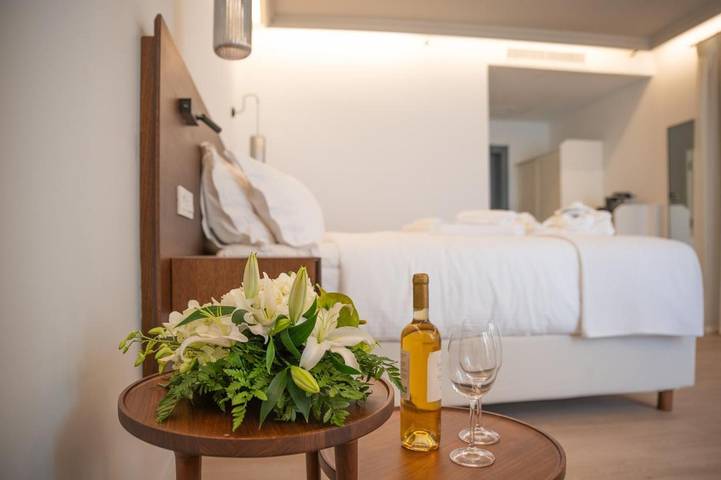 Maison d’hôte pour 3 personnes, avec vue et jardin dans Spetses - 2