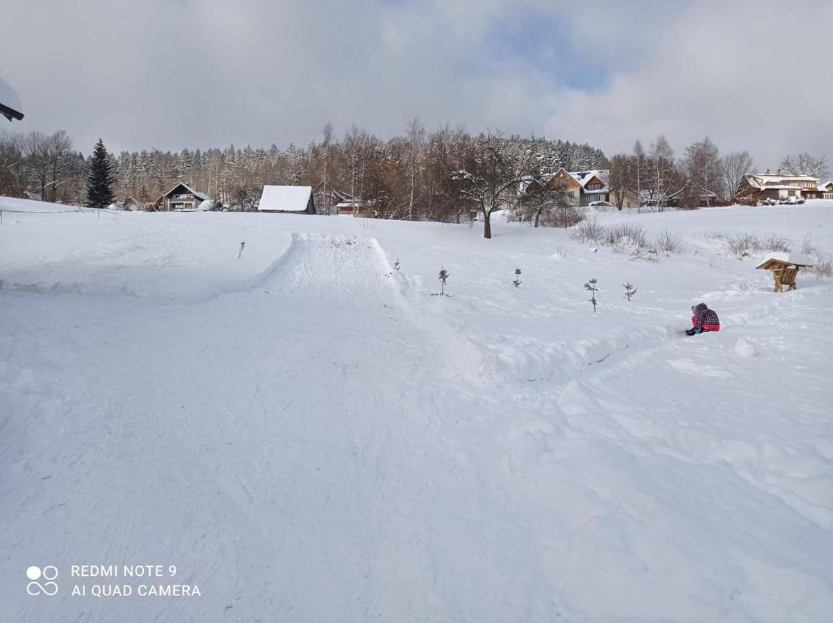 Cały apartament, Chalupa U Bobra in Rokytnice nad Jizerou, Karkonosze Czechy