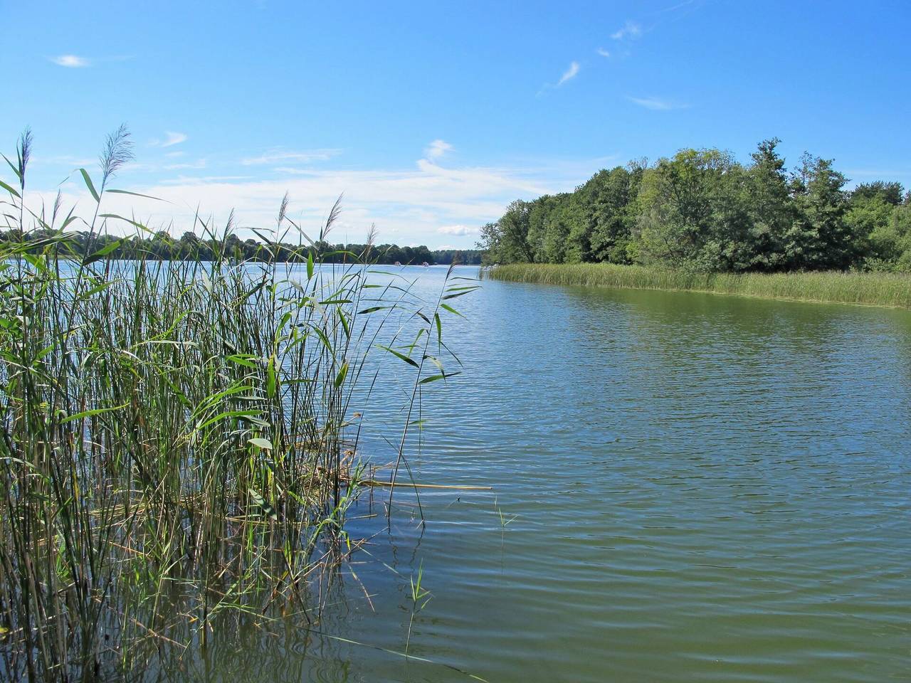 Ganze Wohnung, Wesenberg 602 - Am Pälitzsee 602.1 in Strasen, Wustrow (Mecklenburgische Seenplatte)