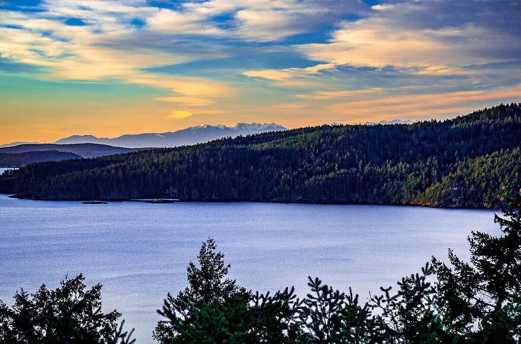 Orcas-Schöne moderne Home- Wasser View- Privacy- hundefreundlich in Orcas Island