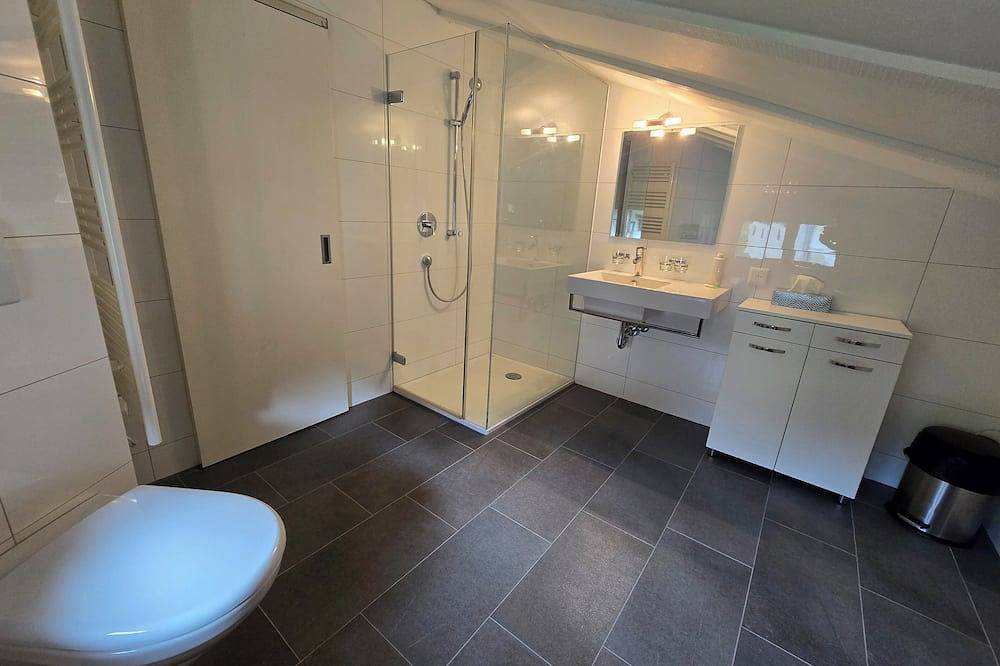 Ganze Wohnung, Charming Louisa Roof in den Schweizer Bergen in Sedrun, Tujetsch