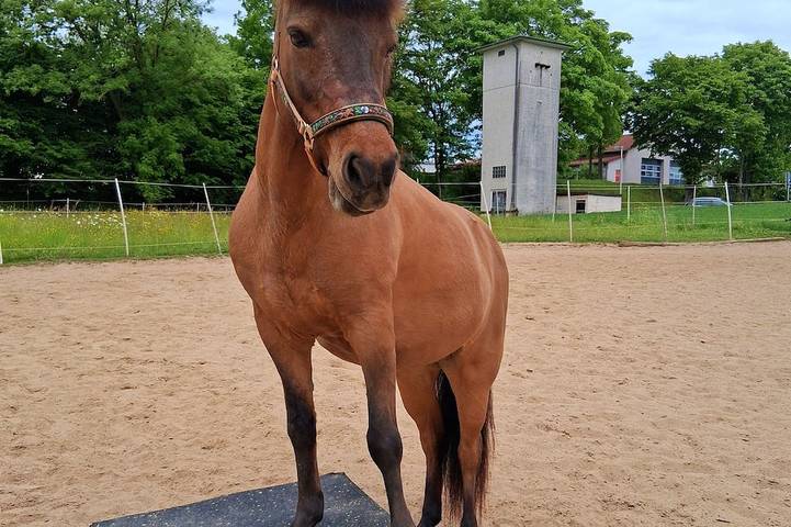Ferienwohnung für 8 Personen