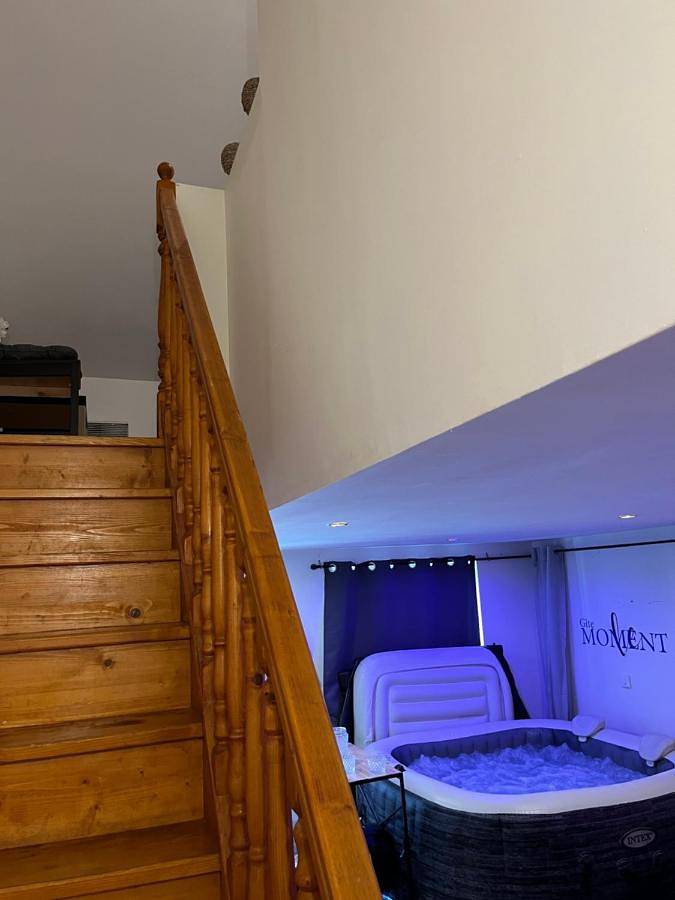 Location de vacances pour 2 personnes, avec jacuzzi à Chouzy-sur-Cisse - 3