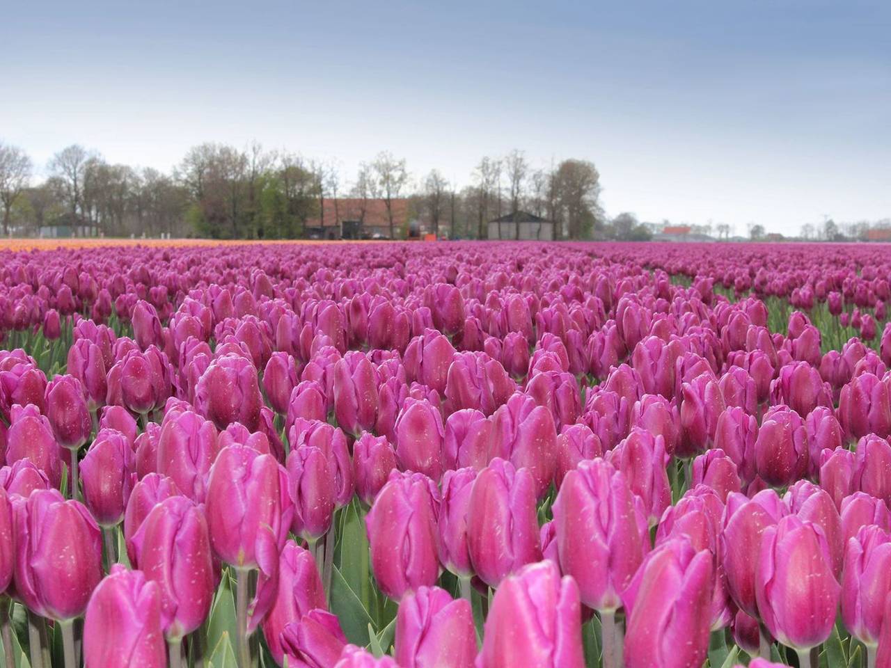 Beachplace in Noordwijk aan Zee, Noordwijk