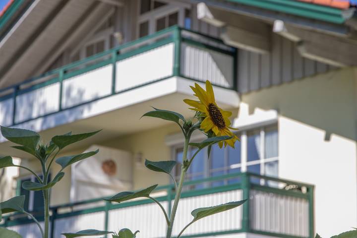 Ferienwohnung Alte Säge - Chiemgau Karte - Ferienwohnung