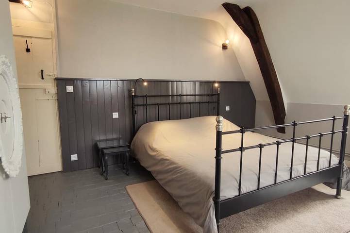 Ganze Wohnung, Château de la Mothaye apartment in the middle of the famous Loire Valley. in Brion, Angers und Umgebung