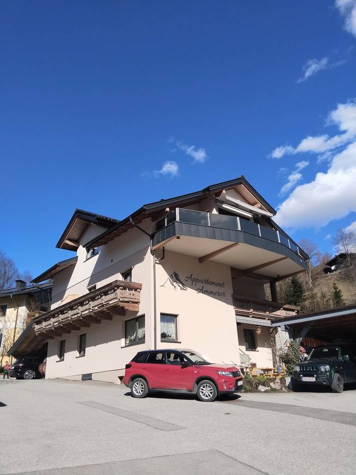 Geheel vakantieappartement, Appartement, douche, 2 slaapkamers in Wagrain, Ski Amadé