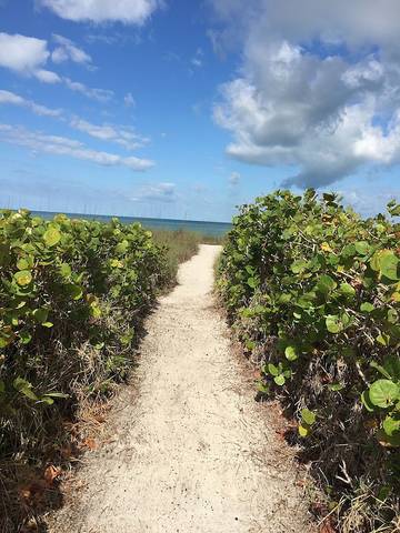 Cabin for 2 Guests in Siesta Key, Sarasota County, Picture 3