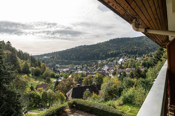 Vakantiewoning voor 4 personen, met Balkon in Todtmoos