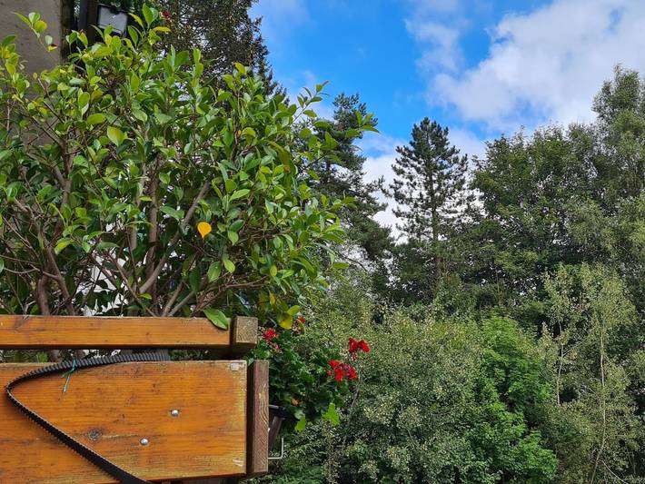 Ferienwohnung für 3 Personen, mit Balkon in Herrischried - 4