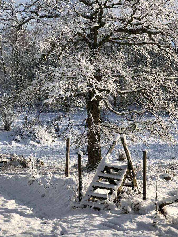 Villa für 8 Personen, mit Garten, kinderfreundlich in Schweden - 3