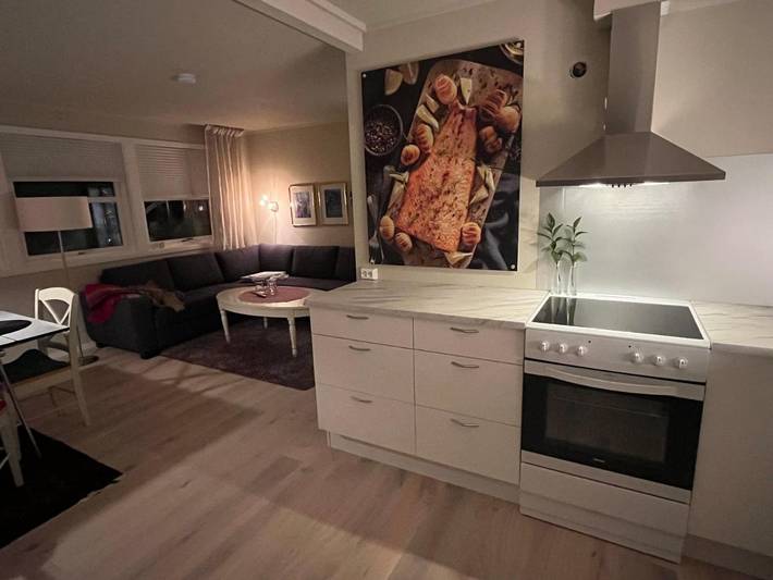 Ferienwohnung für 4 Personen, mit Garten und Ausblick in Tromsø - 4