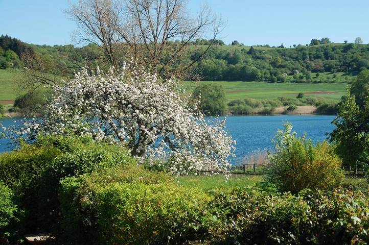 Hotel für 4 Personen, mit Garten und Seeblick sowie Ausblick und Sauna, mit Haustier in Schalkenmehren - 4
