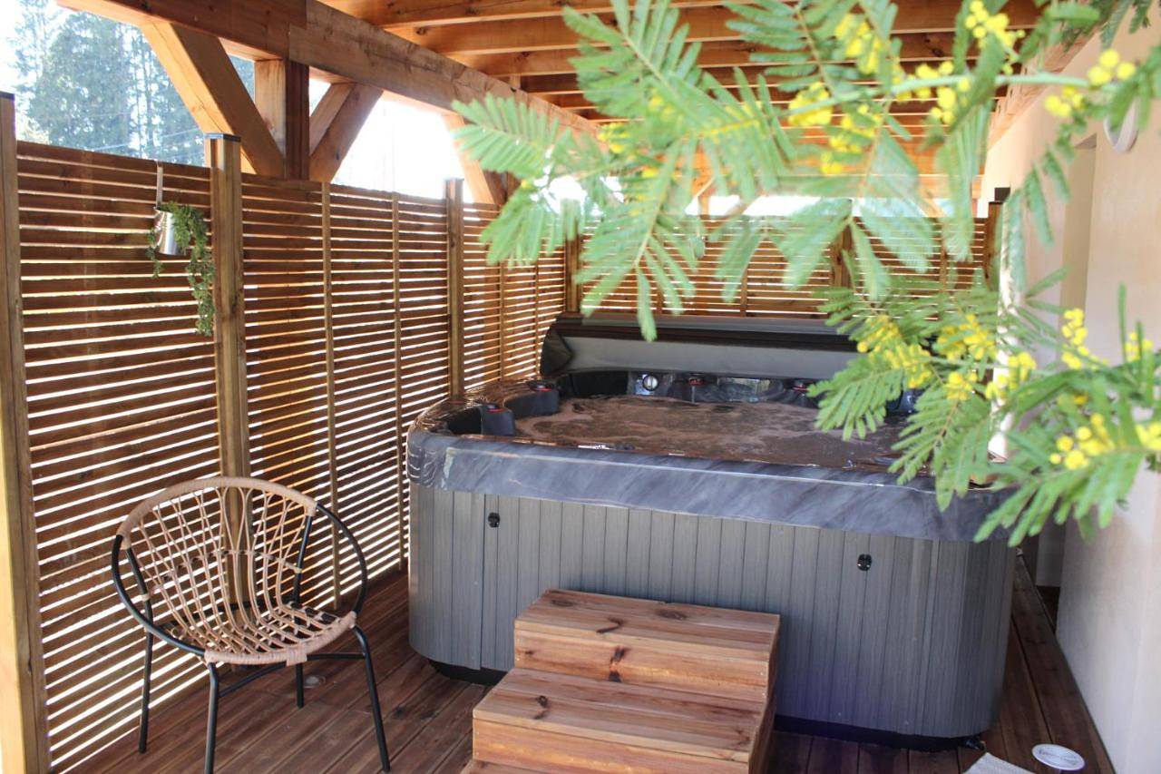 Appartement entier, Chalet L'Oseraie, location touristique Spa 4 étoiles au cœur des Vosges in Le Saulcy, Saint-Dié-des-Vosges