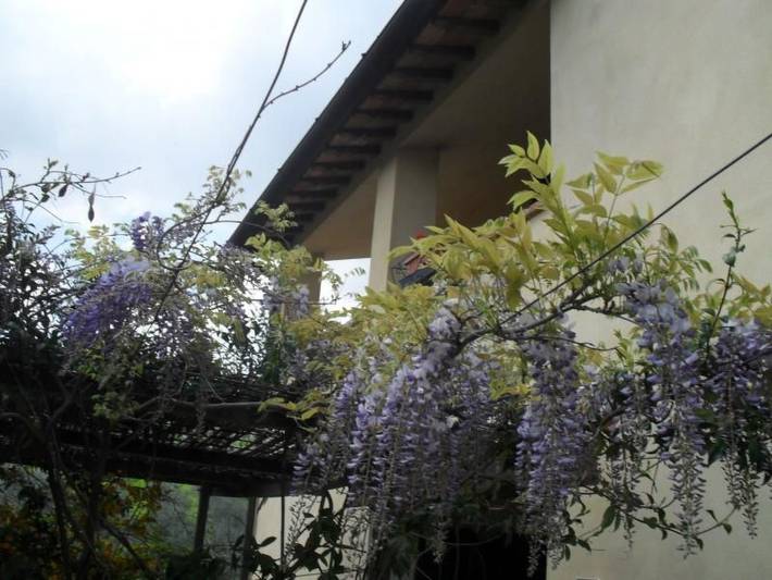 Gîte pour 5 personnes, avec jardin et piscine, animaux acceptés à Bevagna - 4