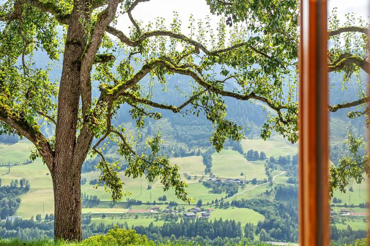 Ganze Wohnung, Ferienwohnung 'Biobergbauernhof Bergzeit' mit Bergblick, privater Terrasse und Wi-Fi in Goldegg, Ski Amadé