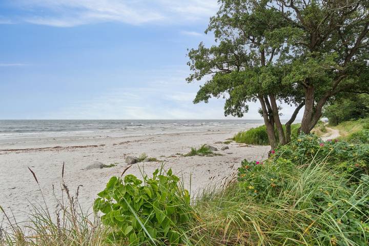 Ferienhaus für 5 Personen, mit Garten in Balka Strand - 3