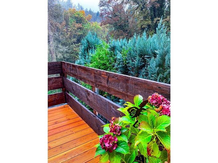Ferienhaus für 6 Personen, mit Balkon und Garten in Gohrisch - 3