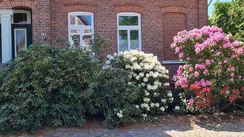 Ferienwohnung für 2 Personen, mit Garten in Jork - 4