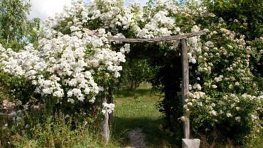 Bauernhof für 2 Personen, mit Garten in Mecklenburg-Schwerin - 3