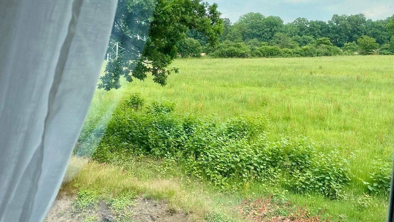 Ganze Ferienwohnung, Ferienwohnung für 4 Personen (54 m²) in Hamburg in Bergstedt, Hamburg