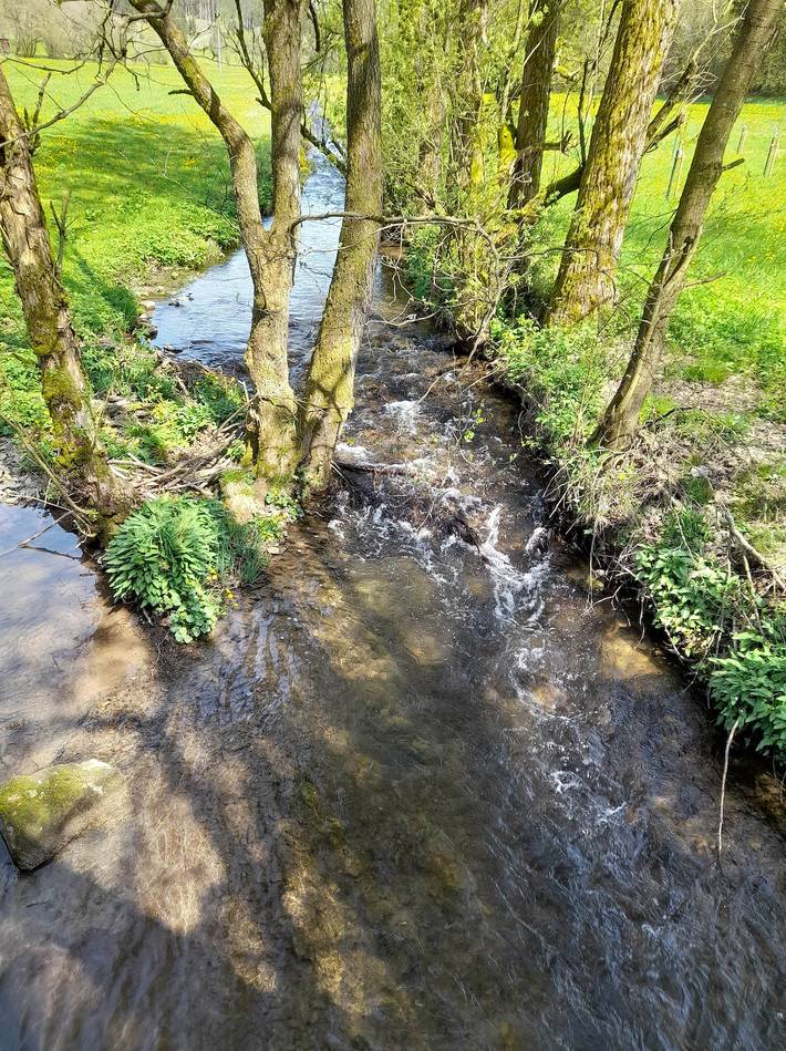 Ferienhaus für 3 Personen, mit Garten und Balkon, kinderfreundlich in Bad Berleburg - 4