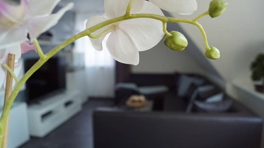 Ferienwohnung für 2 Personen, mit Garten und Terrasse in Lotte