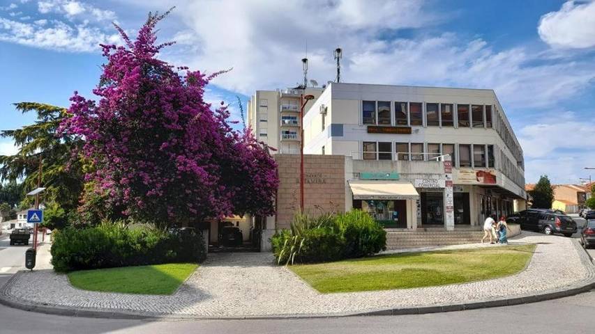 Gîte pour 4 personnes, avec vue à Estarreja - 2