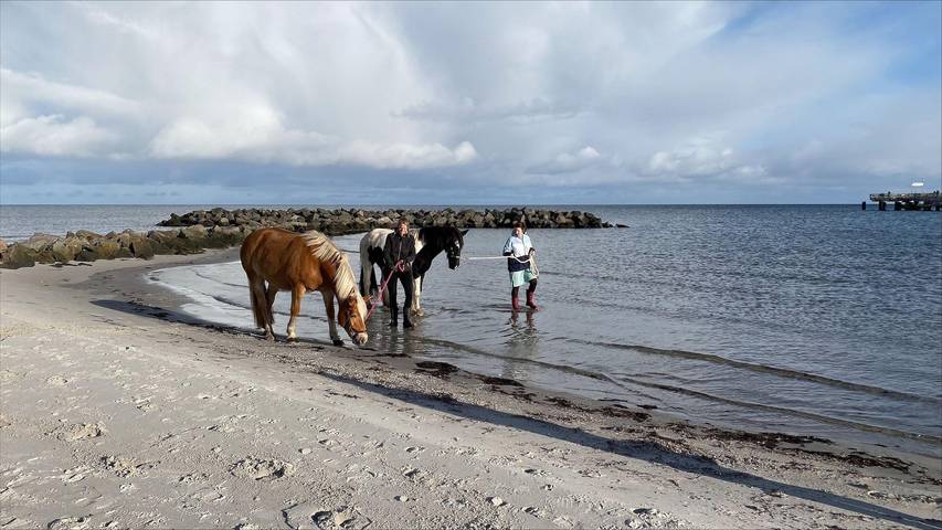 Ferienwohnung für 5 Personen, mit Terrasse und Garten am Schönberger Strand - 4