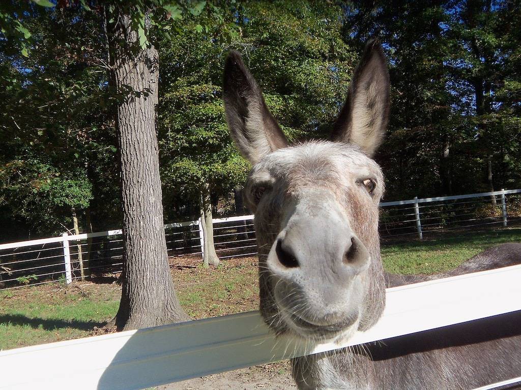Genießen Sie Breezes on the James River, 15 Minuten von der Innenstadt von Richmond entfernt in Henrico County