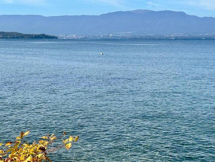 Location de vacances pour 12 personnes, avec vue ainsi que terrasse et piscine à Anthy-sur-Léman - 4