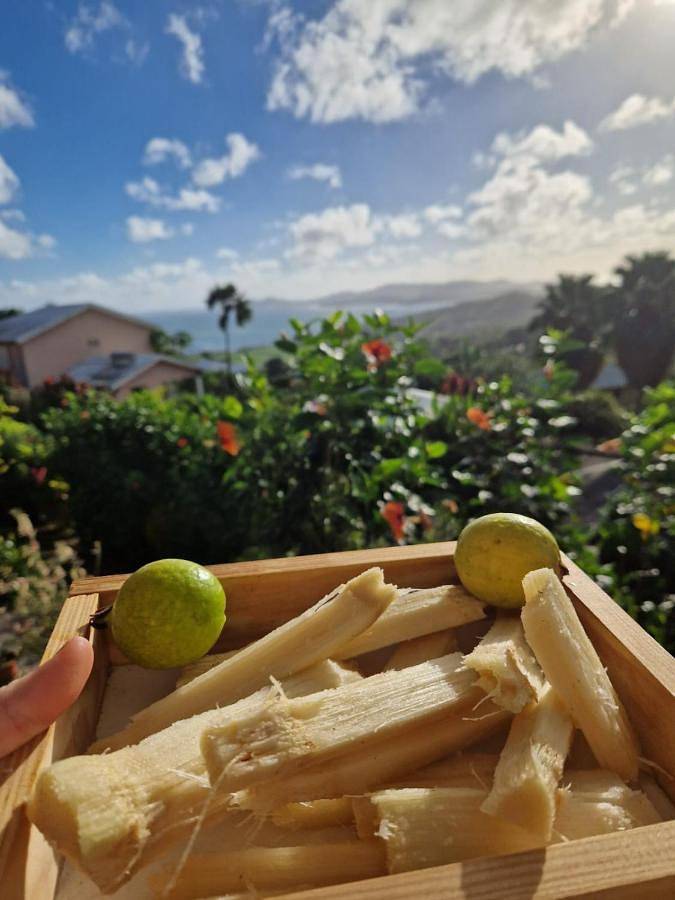 Gîte pour 5 personnes, avec jardin et vue à Sainte-Marie - 2