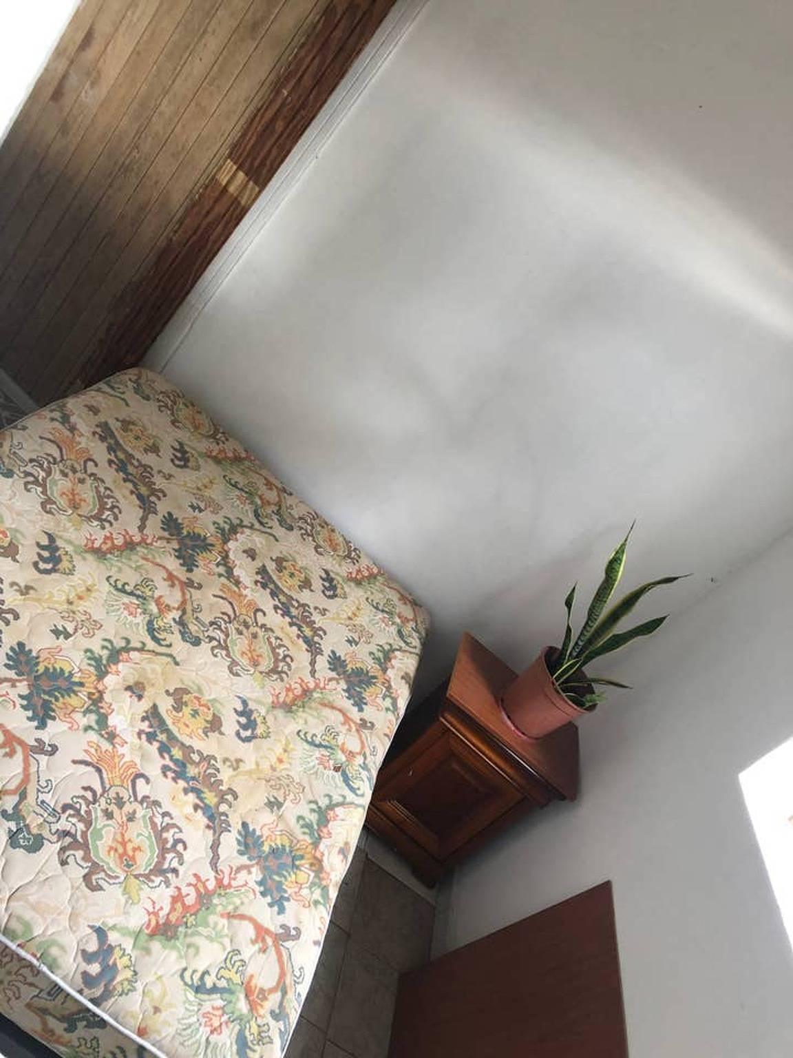 Maison charmante à Vieux Habitants avec terrasse ensoleillée in Vieux-Habitants, Guadeloupe