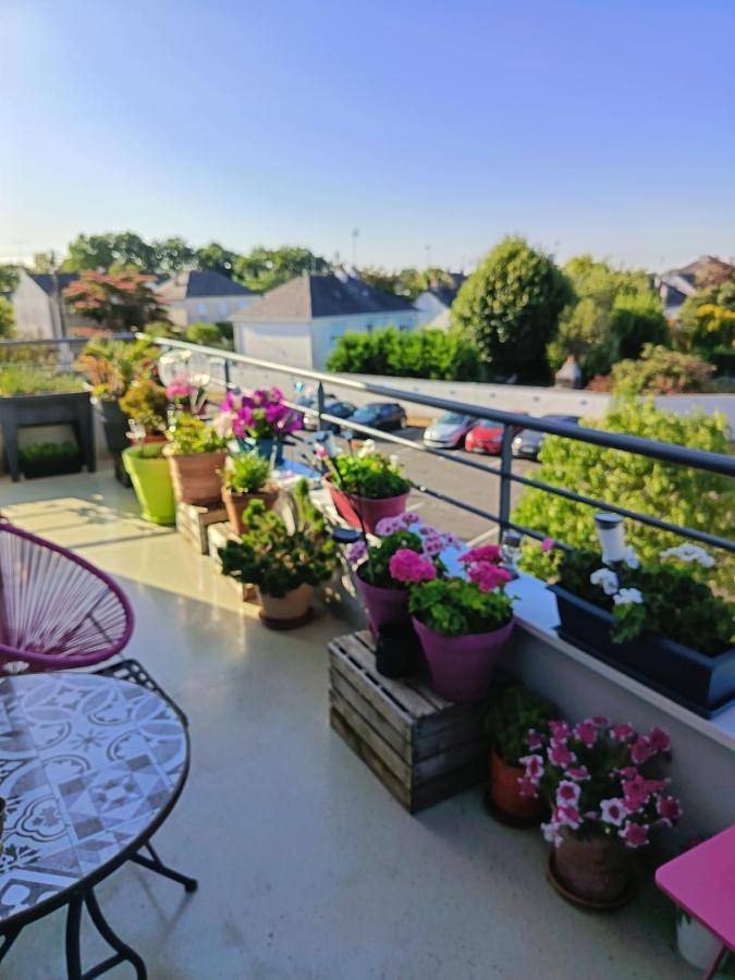 Chambre d’hôte pour 2 personnes, avec Balcon ainsi que Terrasse et Vue