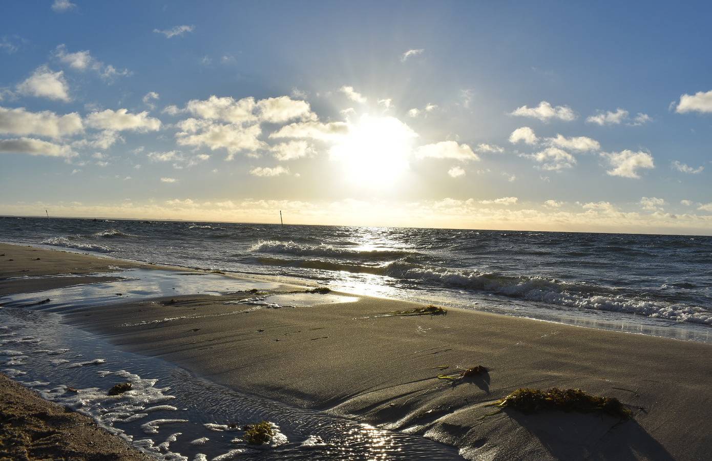 Ferienhaus Schäferhund in Klein Zicker, Mönchgut